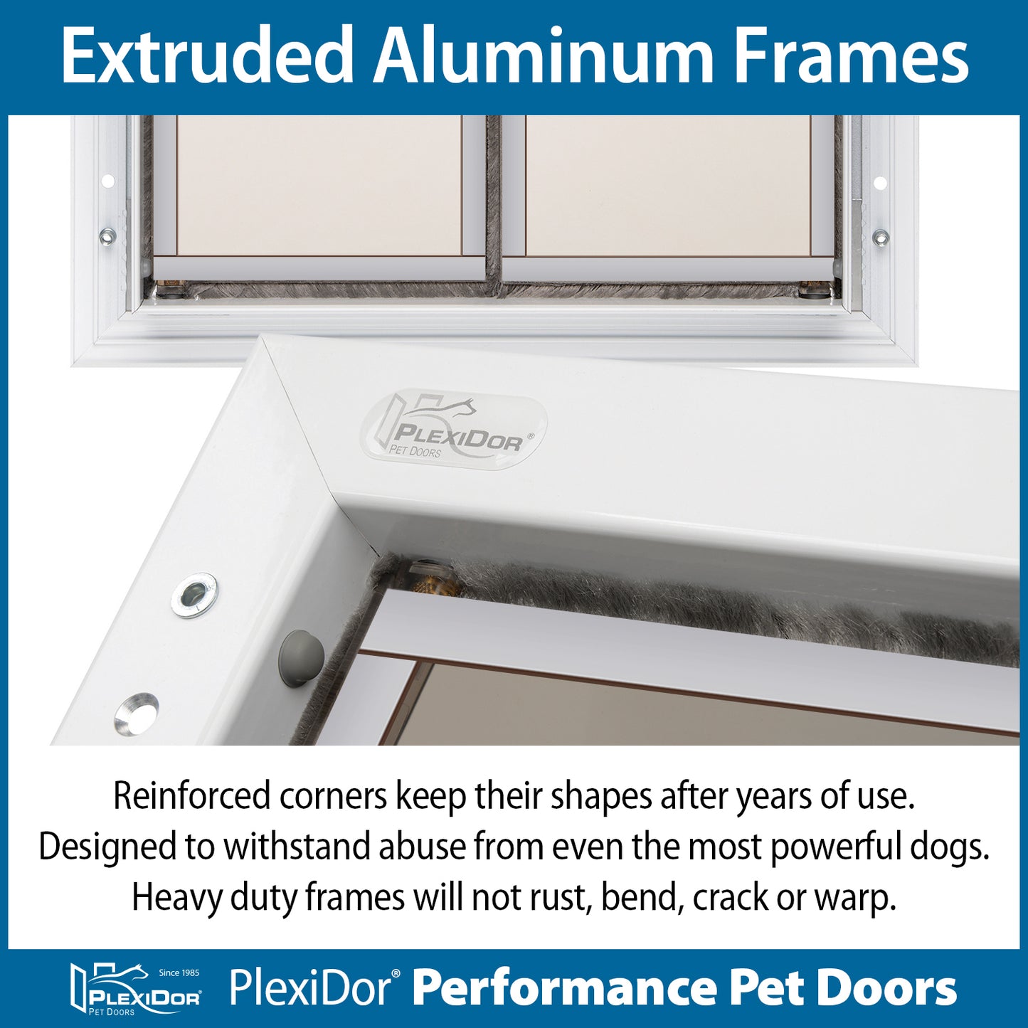 PlexiDor - Extra Large Dog Door - Wall Series (Contact Us for availability and delivery quote)