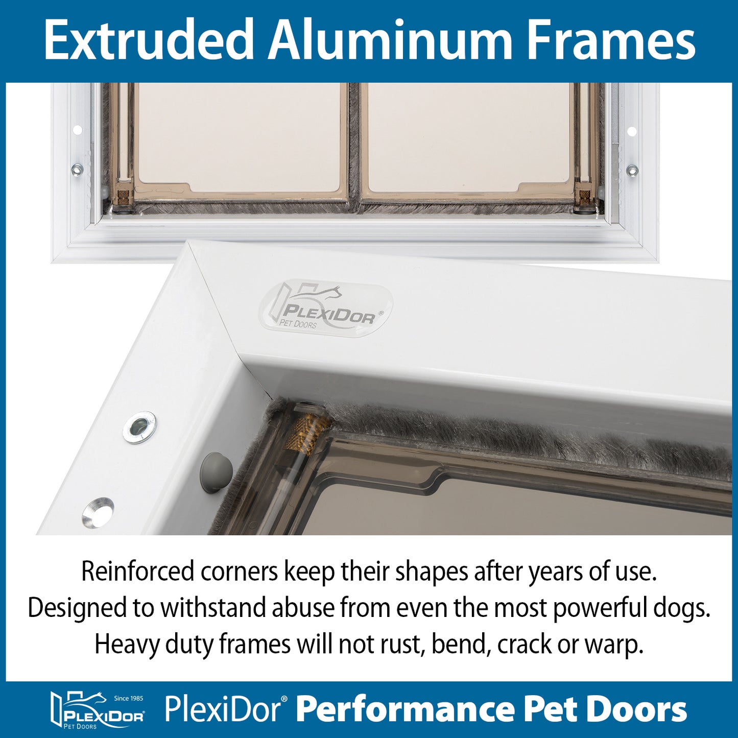 PlexiDor - Extra Large Dog Door - Wall Series (Contact Us for availability and delivery quote)