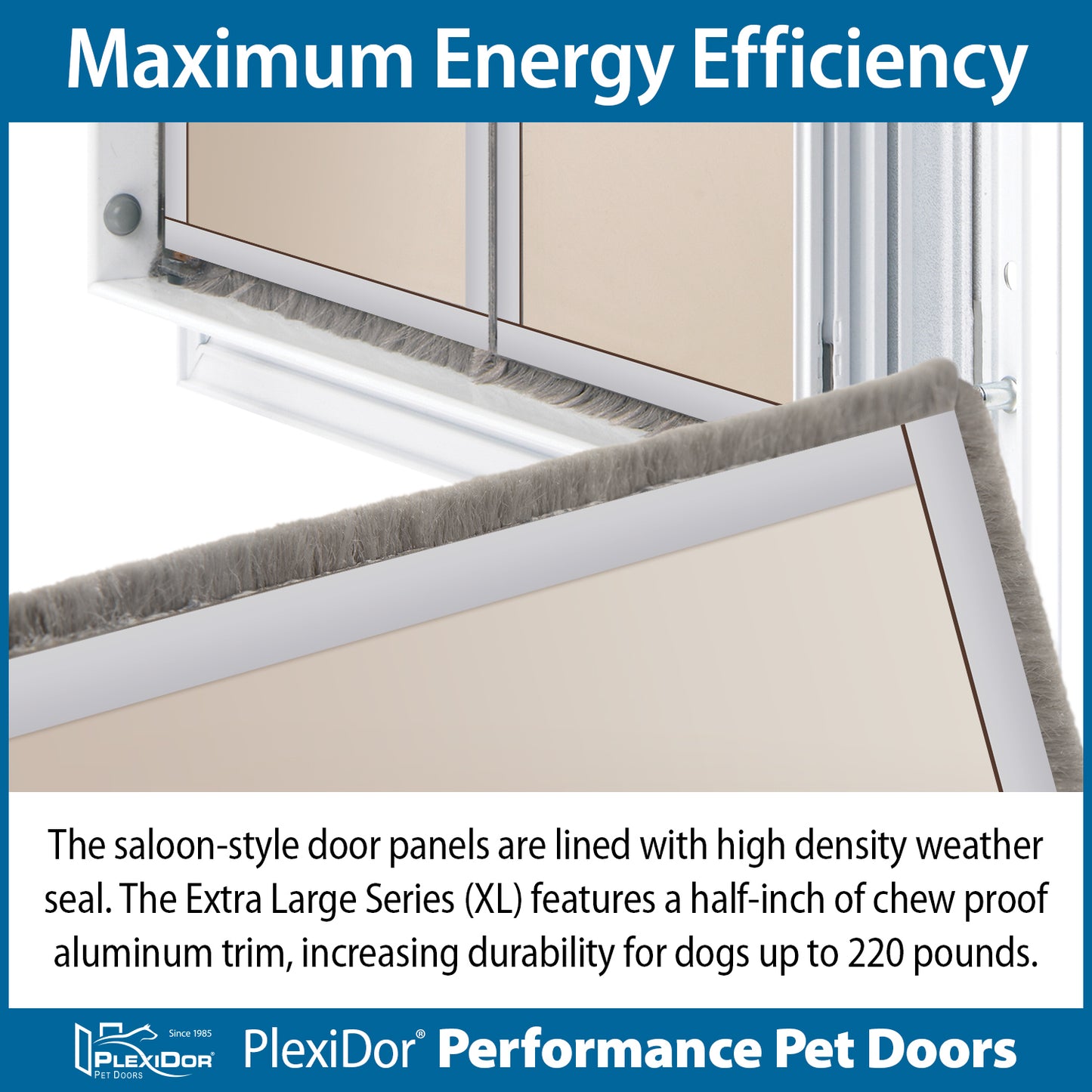 PlexiDor - Extra Large Dog Door - Wall Series (Contact Us for availability and delivery quote)