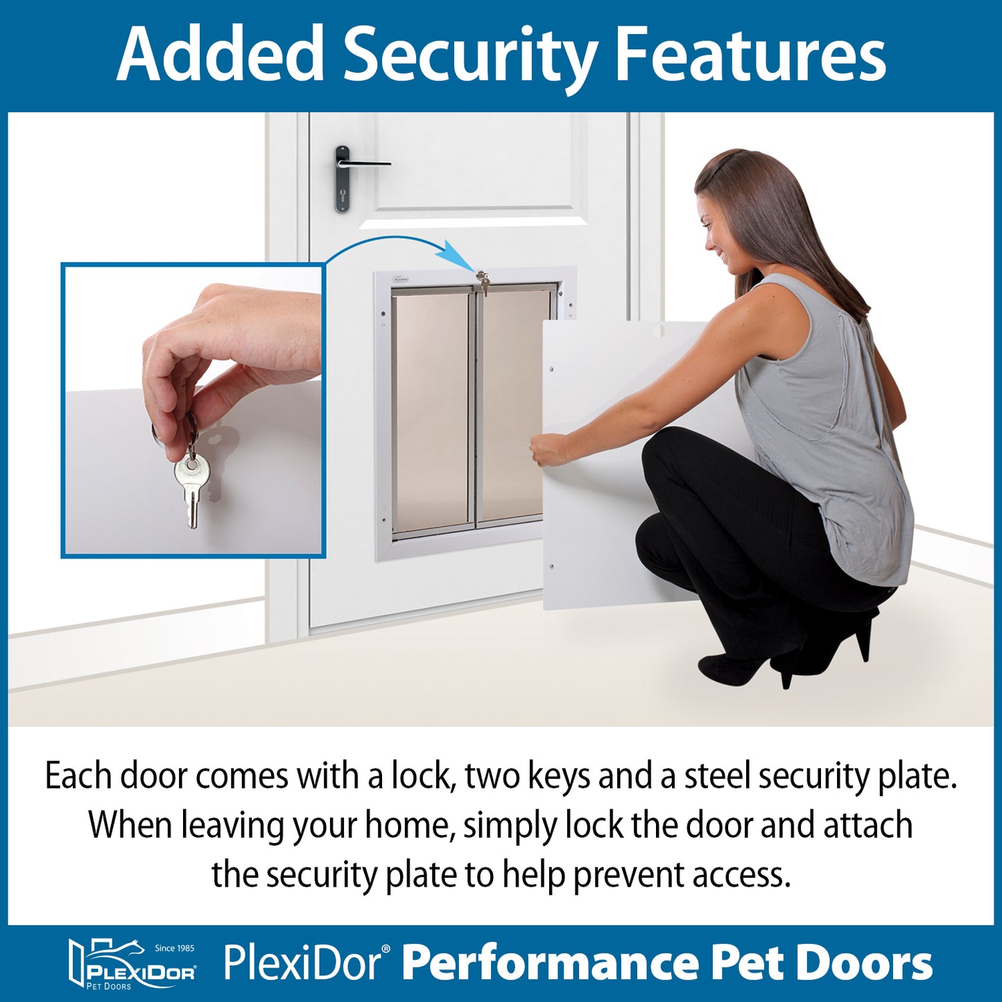 PlexiDor - Medium Dog Door - Wall Series